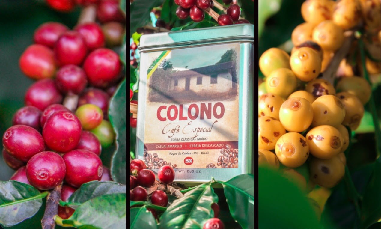 Café em estágios