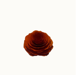 Dobby Aromas Rosa em Madeira Aromatizada Dobby Aromas Rosa em Madeira Aromatizada