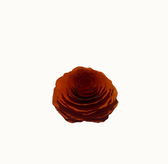 Dobby Aromas Rosa em Madeira Aromatizada